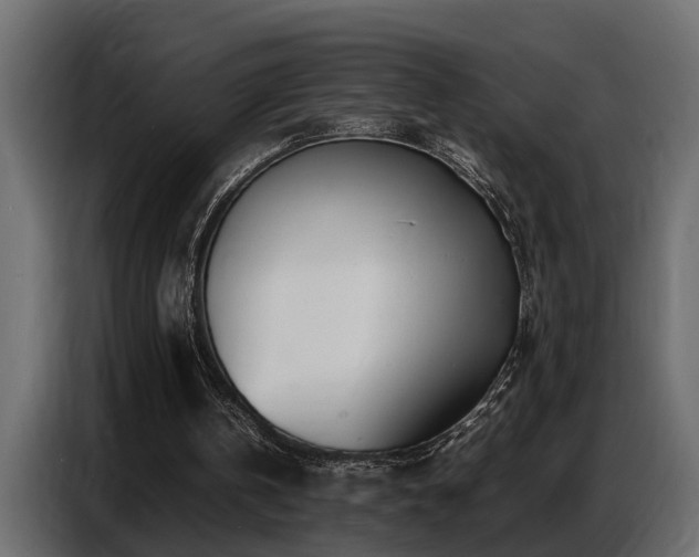 X0000087750146200705071120