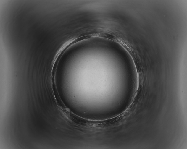 X0000087750147200705071120