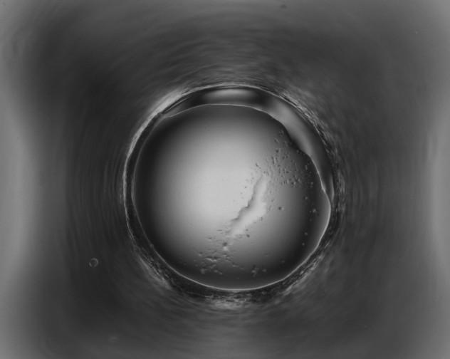 X0000087750148200705071120