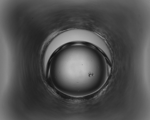 X0000087750149200705071120
