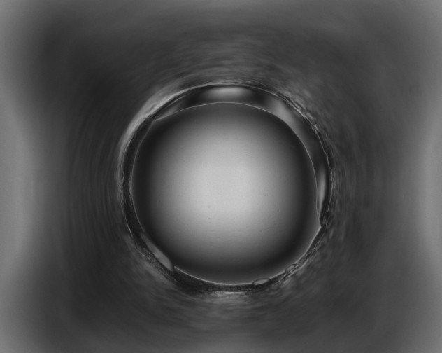 X0000087750150200705071120