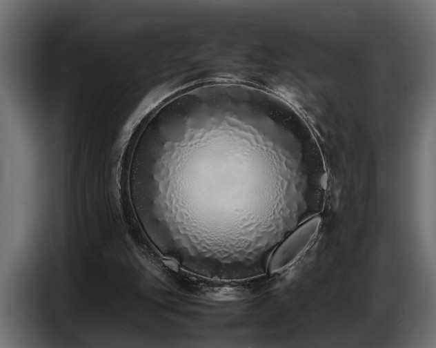 X0000087750151200705071120