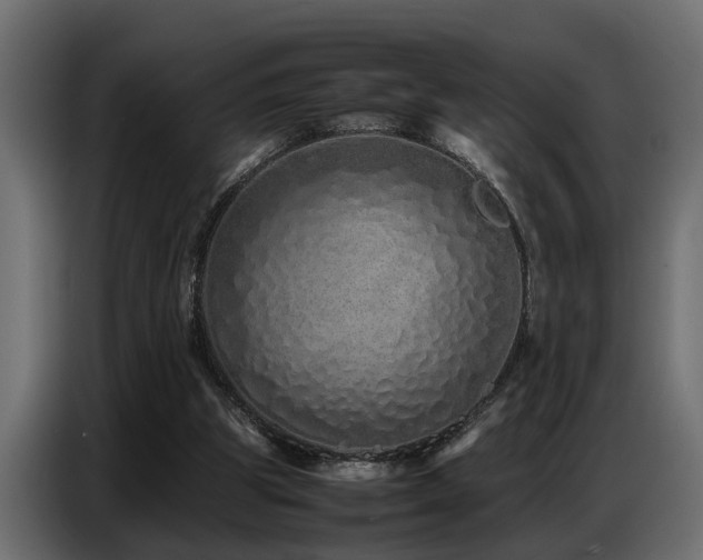 X0000087750153200705071120