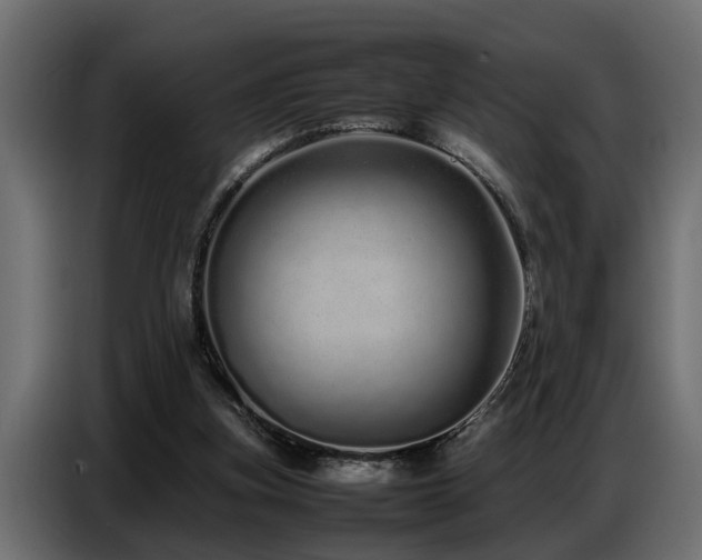 X0000087750155200705071120