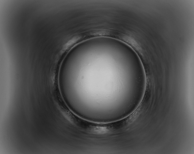 X0000087750159200705071120