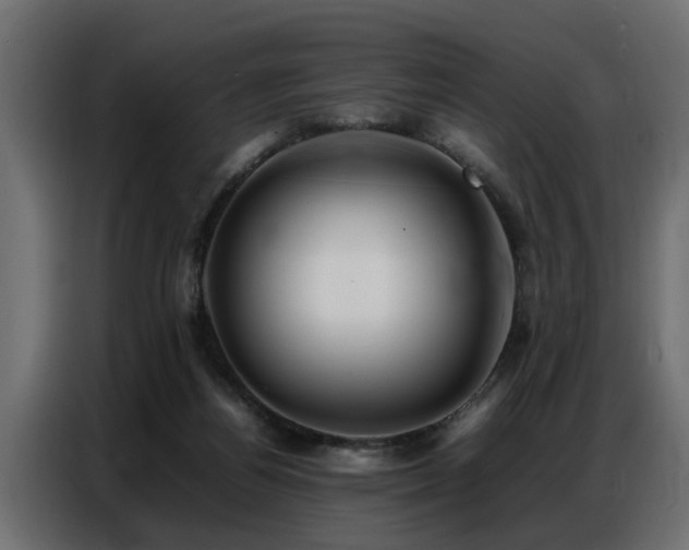 X0000087750164200705071120