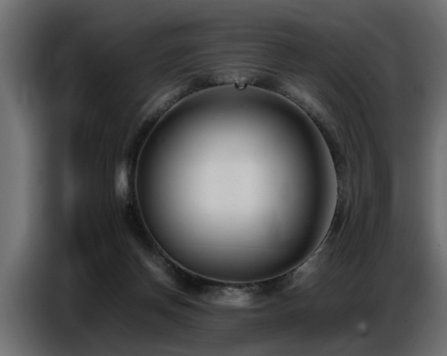 X0000087750166200705071120