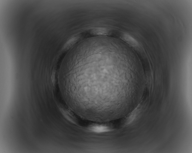 X0000087750167200705071120
