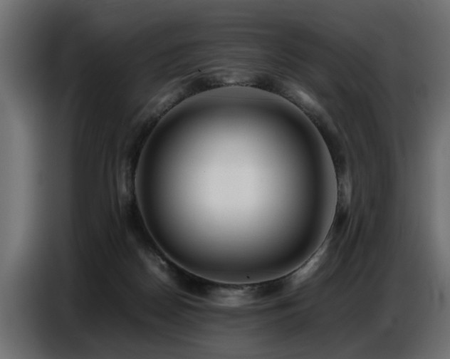 X0000087750170200705071120