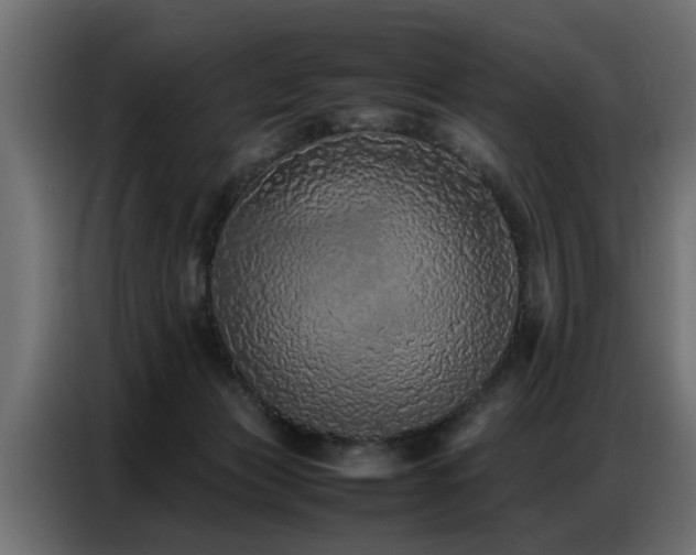 X0000087750173200705071120