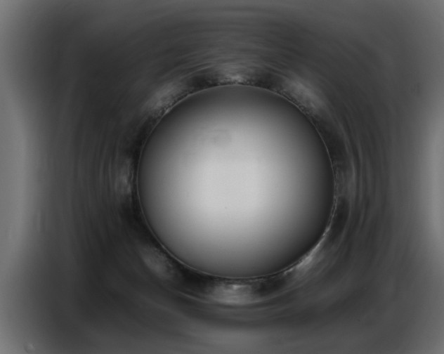 X0000087750174200705071120