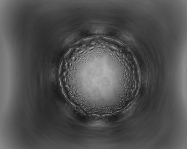 X0000087750175200705071120