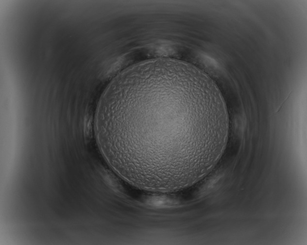 X0000087750177200705071120