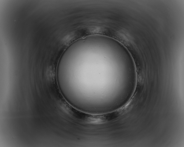 X0000087750179200705071120