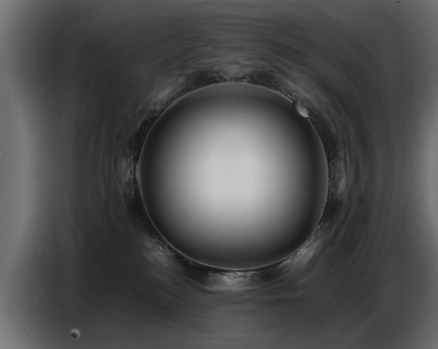 X0000087750184200705071121