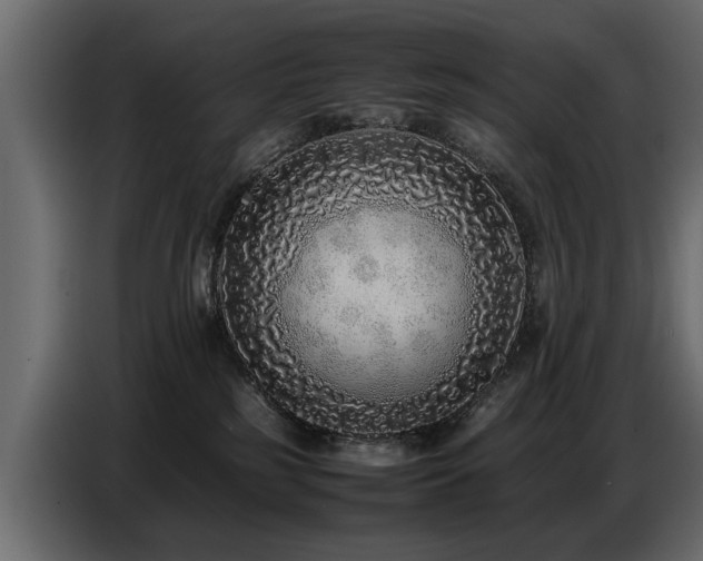 X0000087750185200705071121