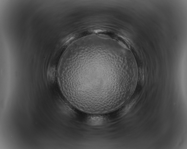 X0000087750189200705071121