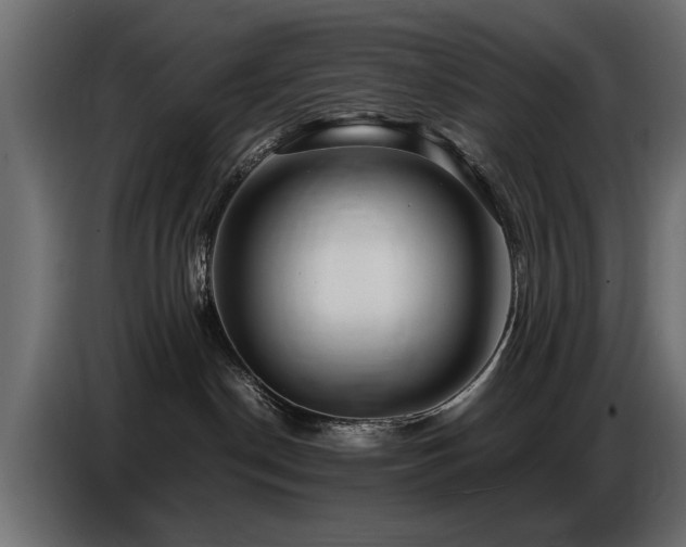 X0000087750190200705071121