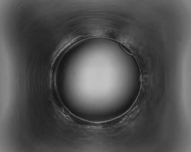 X0000087750194200705071120