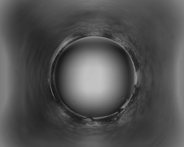 X0000087750195200705071120