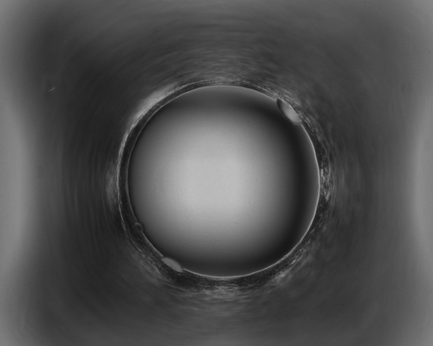 X0000087750196200705071120