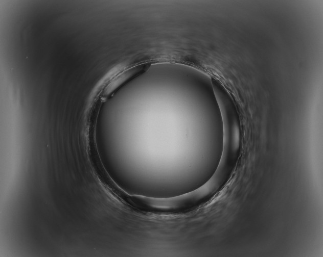 X0000087750197200705071120