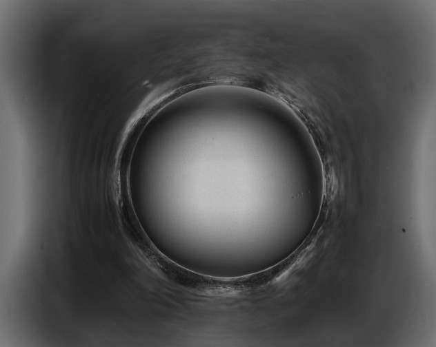 X0000087750198200705071120