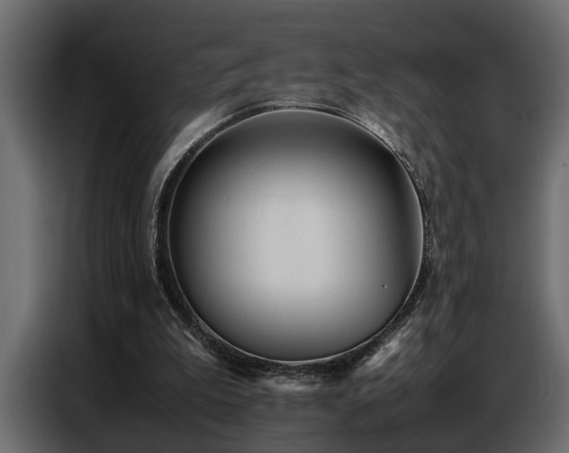 X0000087750199200705071120
