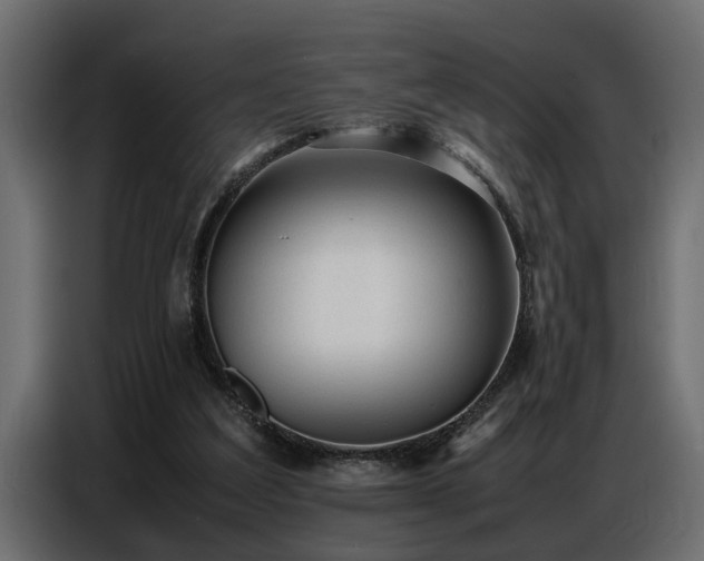 X0000087750203200705071120