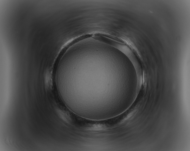X0000087750204200705071120