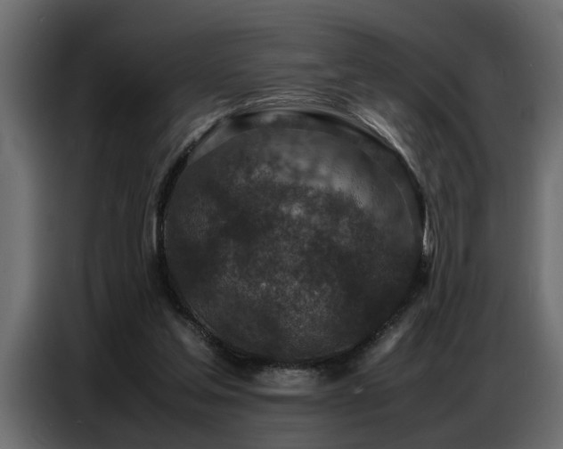 X0000087750205200705071120