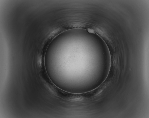 X0000087750206200705071120