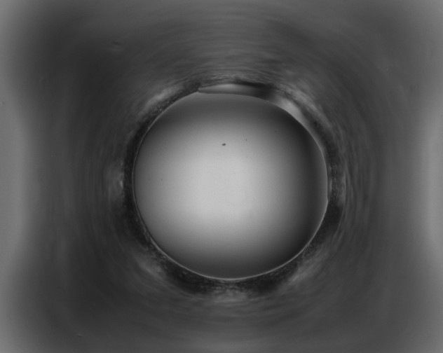 X0000087750207200705071120
