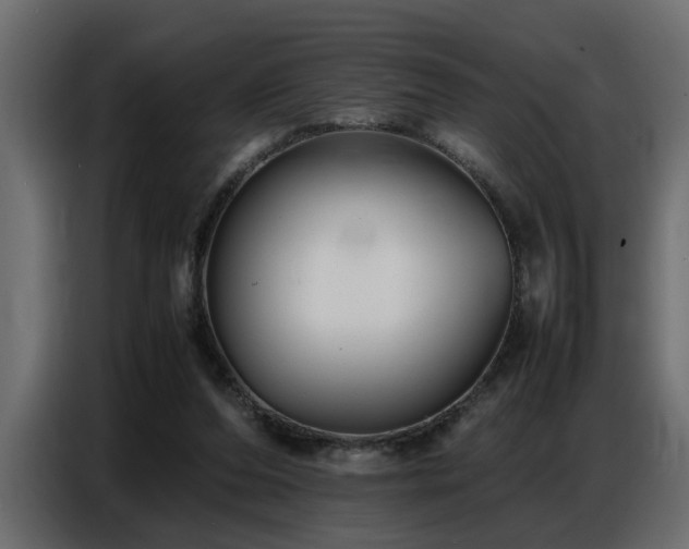 X0000087750208200705071120