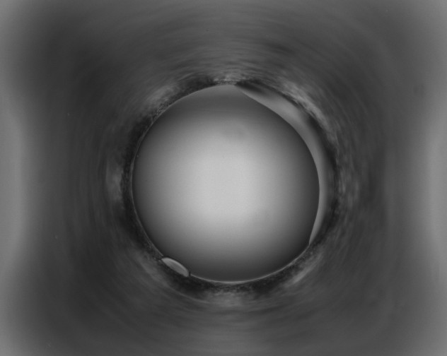 X0000087750209200705071120