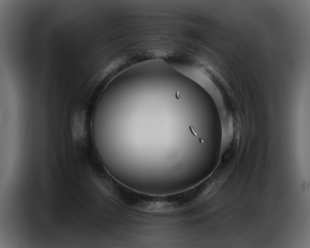 X0000087750212200705071120