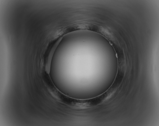 X0000087750213200705071120
