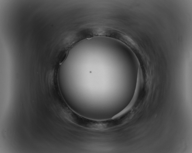 X0000087750217200705071120