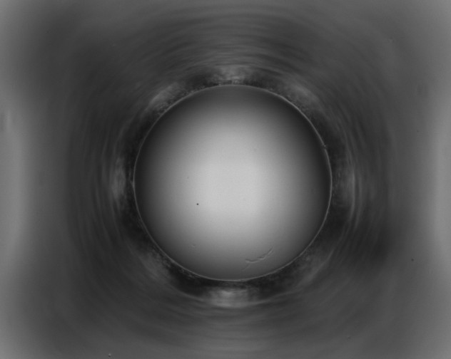 X0000087750220200705071119