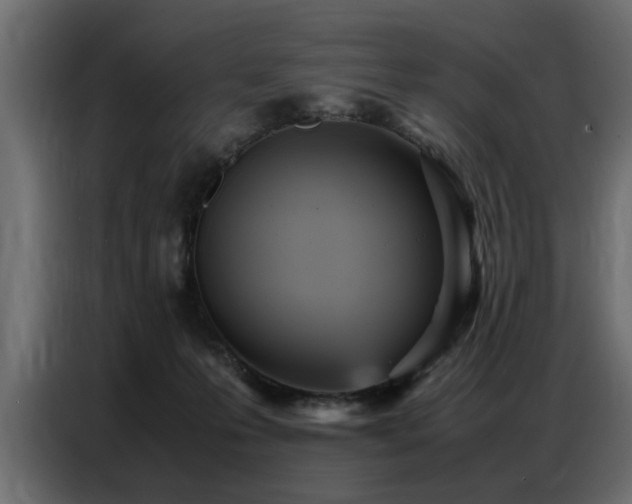 X0000087750223200705071119