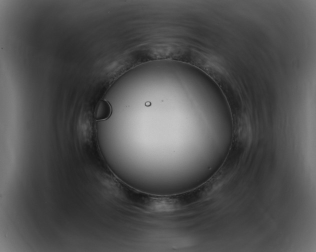 X0000087750226200705071119