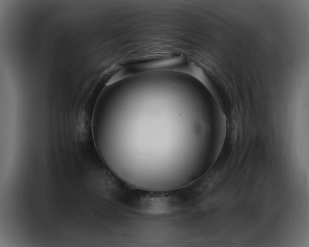 X0000087750228200705071119