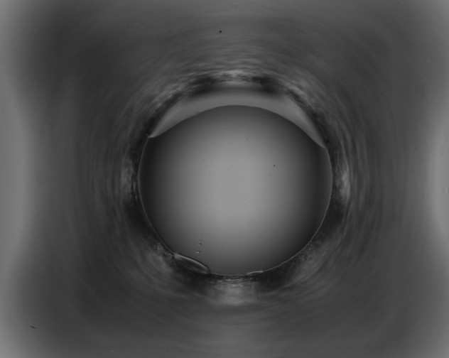 X0000087750231200705071119