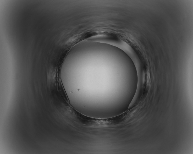 X0000087750233200705071119