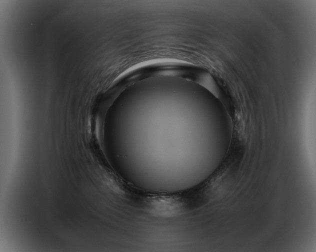 X0000087750235200705071119