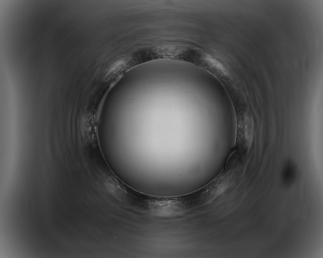 X0000087750237200705071119