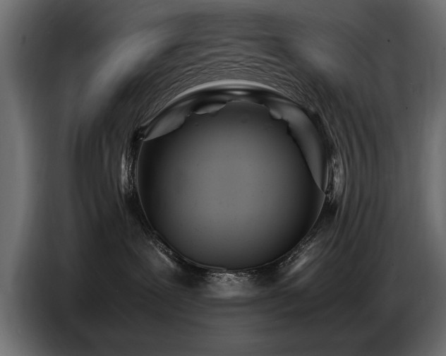X0000087750239200705071119