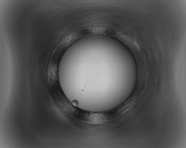 X0000087750240200705071119