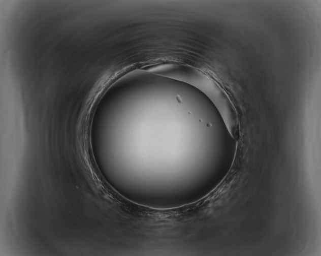 X0000087750241200705071119