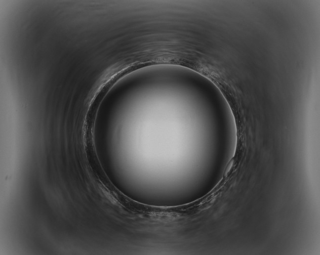 X0000087750242200705071119